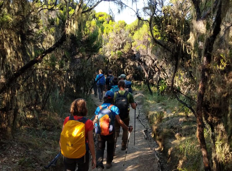 Tanzania groepsreis wandeltocht Mount Kilimanjaro