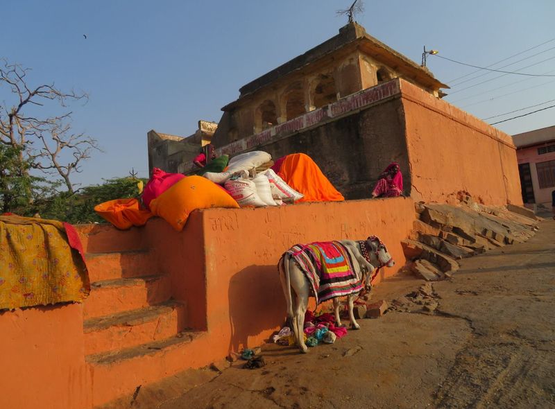 Groepsreis India noorden