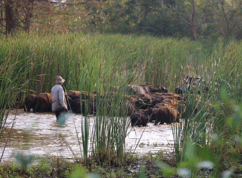 Groepsreis Sri Lanka natuurreis natuur