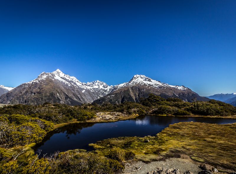 Groepsreis Nieuw-Zeeland
