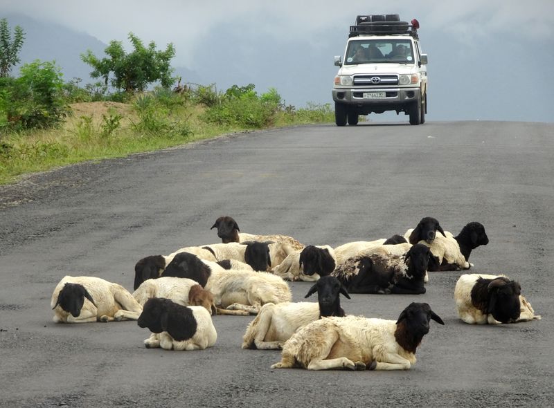 Groepsreis Ethiopië onderweg