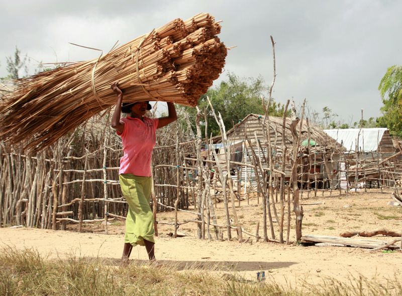 Groepsreis Madagascar straatbeeld