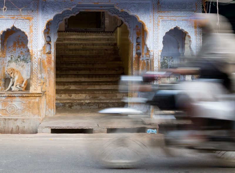 Groepsreis jongerenreis India Pushkar straatbeeld