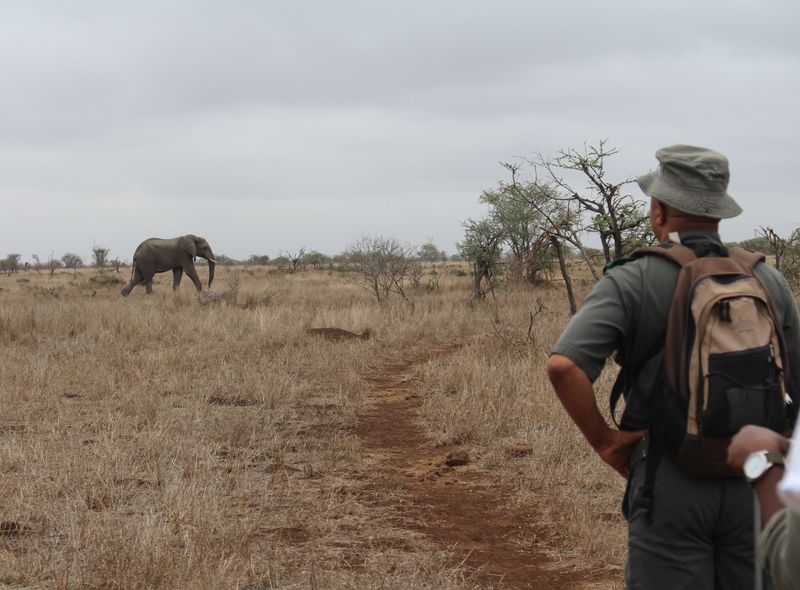 Groepsreis Zuid-Afrika en Lesotho safari