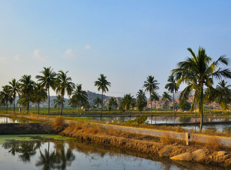 Zuid-India groepsreis Hampi platteland