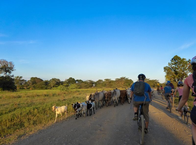 Tanzania groepsreis fietstocht Mto wa Mbu