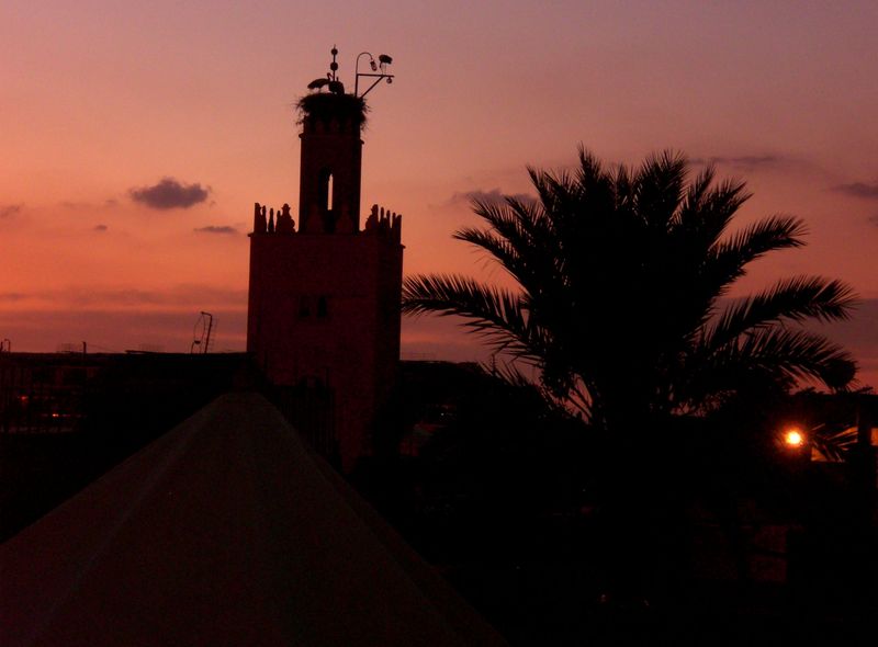 Groepsreis Marokko Citytrip nachtval in Marrakech