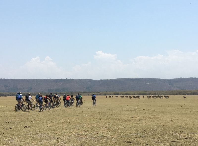 Tanzania groepsreis fietsen bij zebra's in Mto wa Mbu