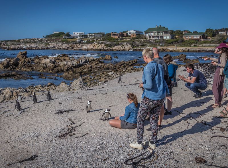 Groepsreis Zuid-Afrika Stony Point