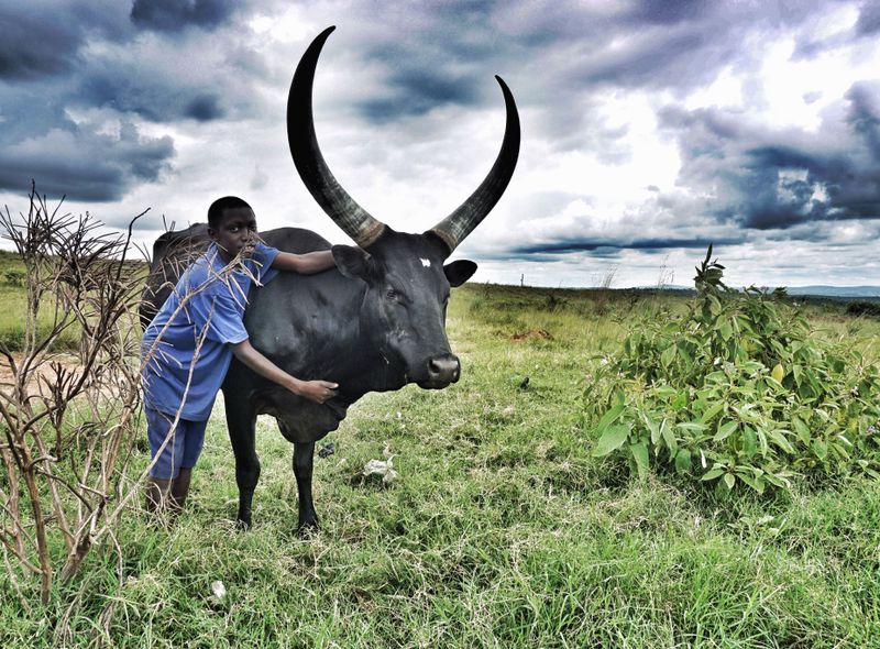 Groepsreis Kenia langs de baan in Kenia