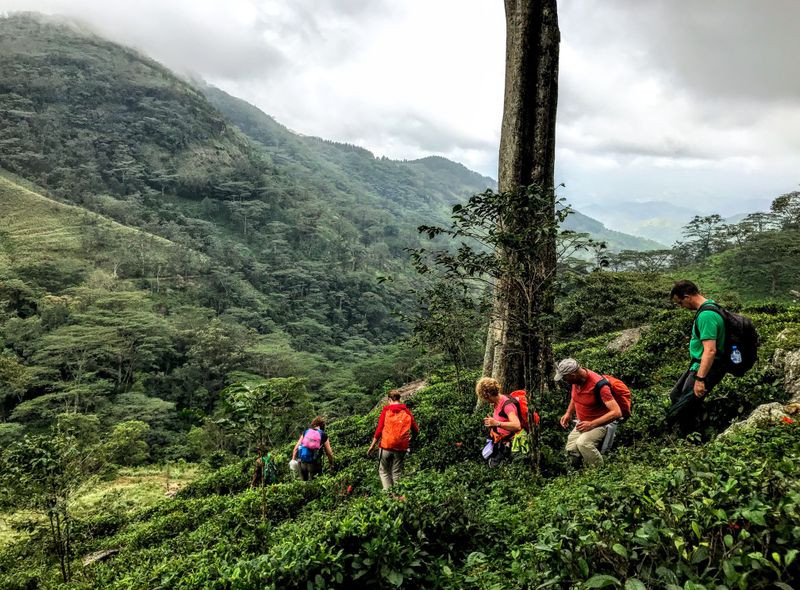Groepsreis Sri Lanka jongerenreis theeplantages wandeling