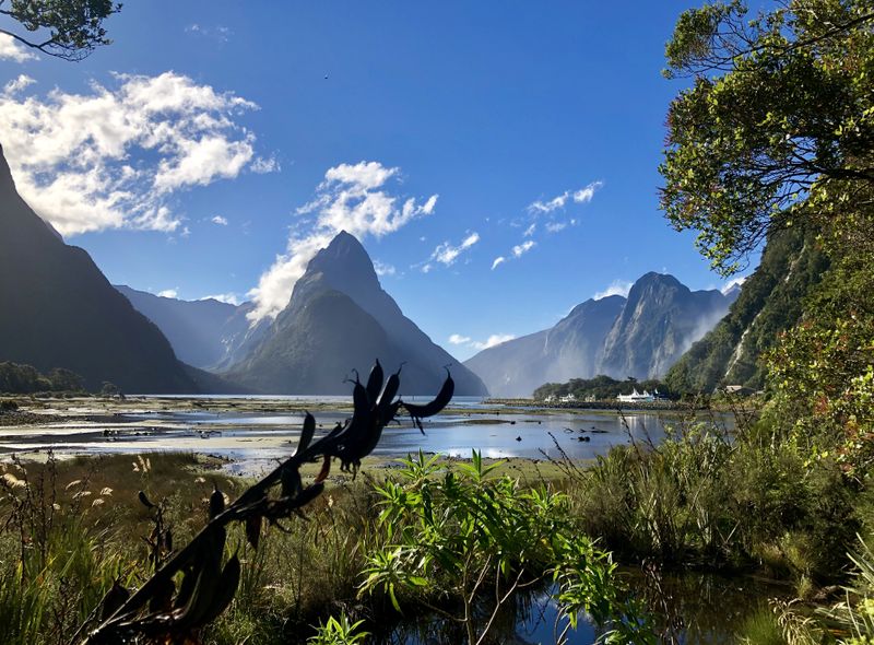 Groepsreis Nieuw-Zeeland Milford Sound uitzicht