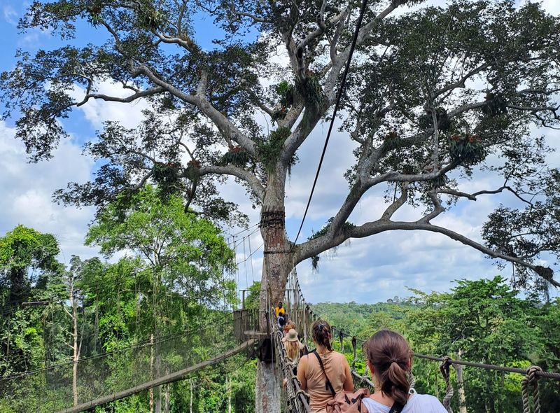 Groepsreis Ghana Kakum canopy