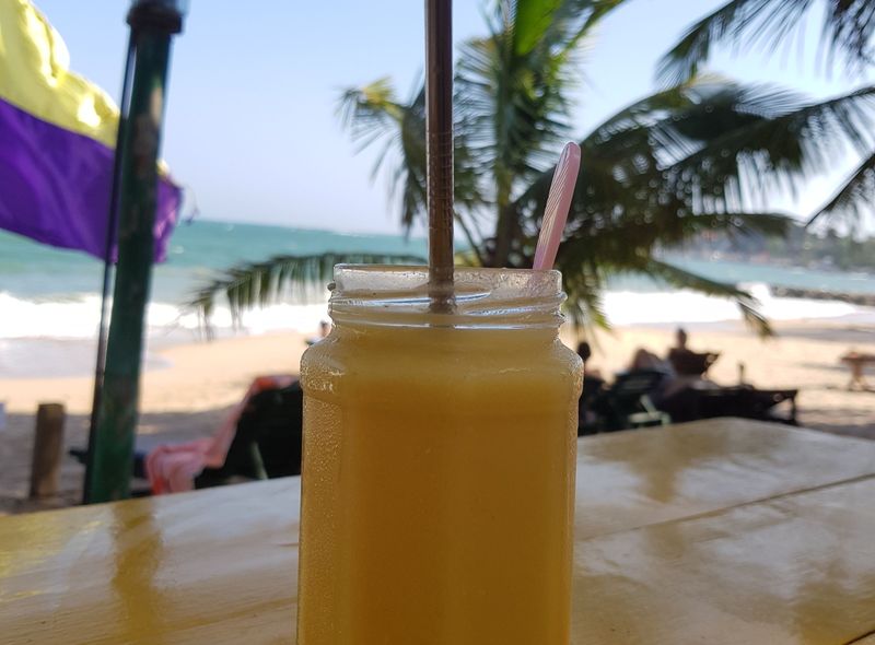 Groepsreis Sri Lanka kust palmbomen cocktail