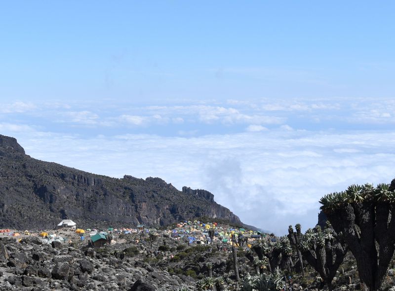 Tanzania groepsreis landschappen op Mount Kilimanjaro
