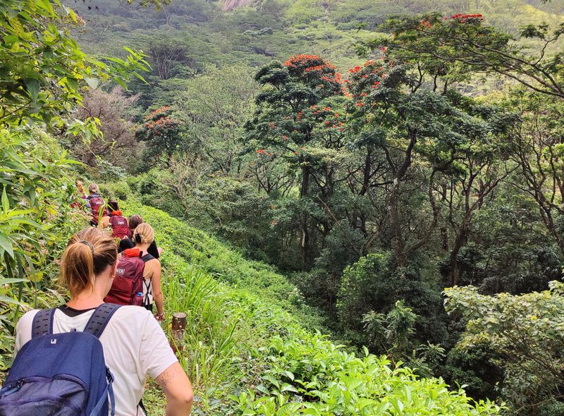 Groepsreis Sri Lanka wandeling Knuckles bergen