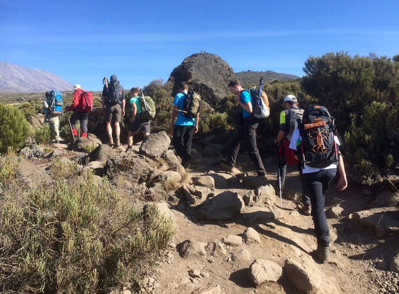 Tanzania groepsreis wandeltocht Kilimanjaro