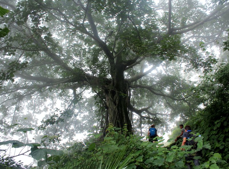 Groepsreis jongerenreis India Rishikesh tempel