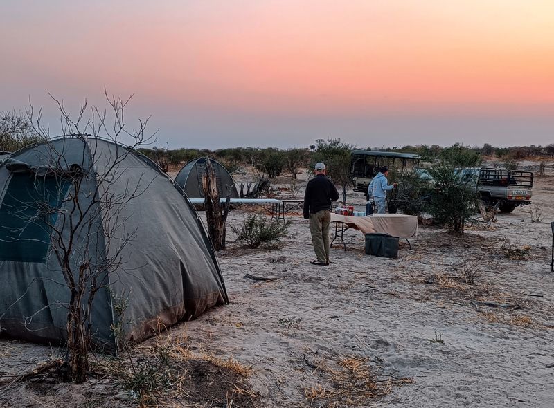 Groepsreis Botswana tenten ochtendtafereel