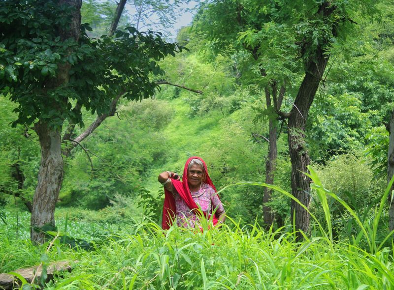 Groepsreis jongerenreis India