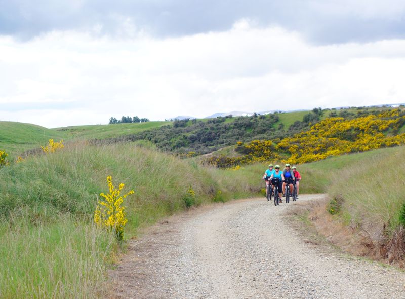 Groepsreis Nieuw-Zeeland Ontago fietsen