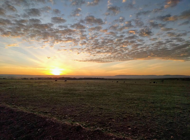 Groepsreis Kenia ochtendgloren tijdens de safari