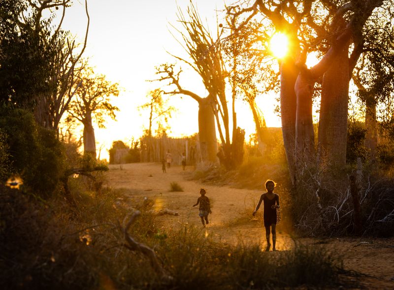 Groepsreis Madagascar avondwandeling Spiny Forest Ifaty