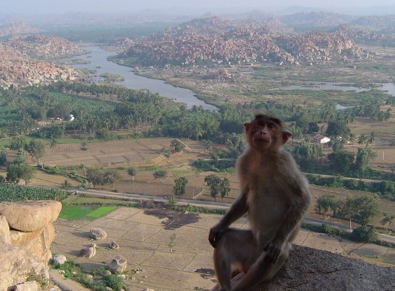 Zuid-India groepsreis zicht op Hampi
