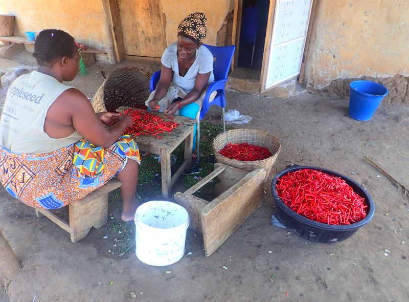 Groepsreis Ghana projecten bezoeken