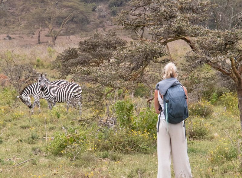 Groepsreis Kenia wandelsafari zebra's