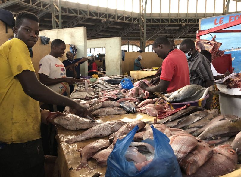 Groepsreis Senegal vissen klaarmaken voor verkoop