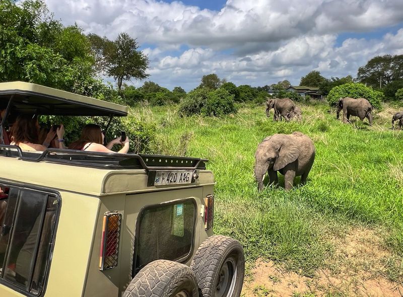 Groepsreis Tanzania safari
