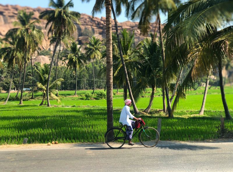 Zuid-India groepsreis platteland