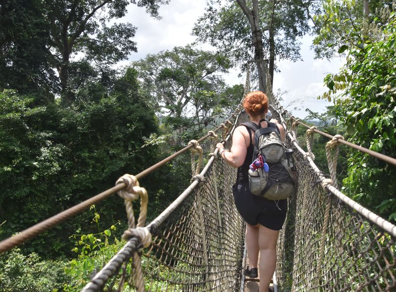 Groepsreis Ghana Kakum National park hangbrug natuur