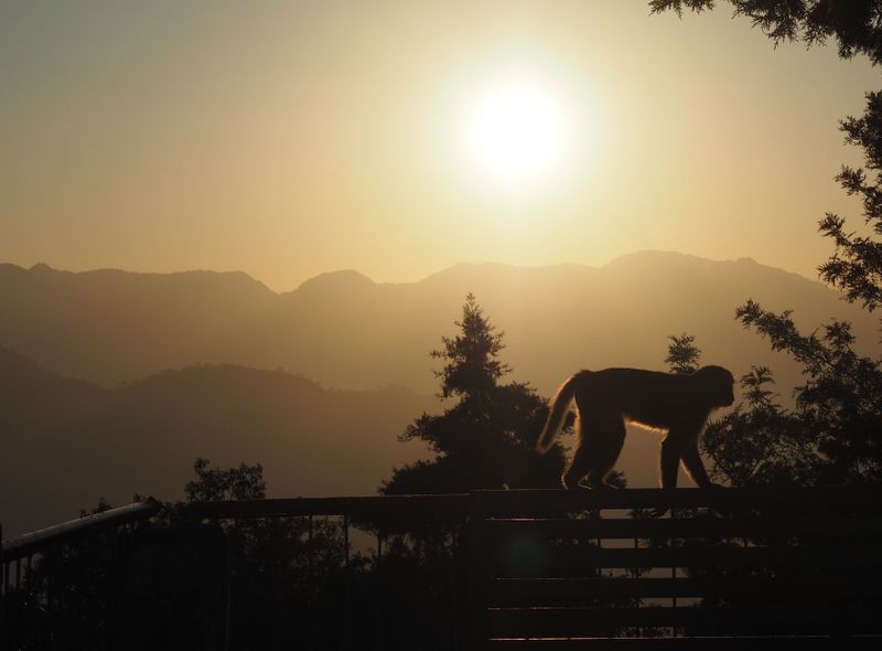 Groepsreis jongerenreis India zonsopgang in Rishikesh