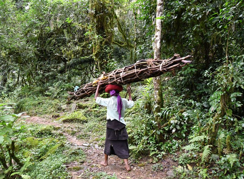 Groepsreis Kenia Kakamega Forest