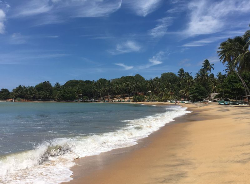 Groepsreis Sri Lanka strand en palmbomen