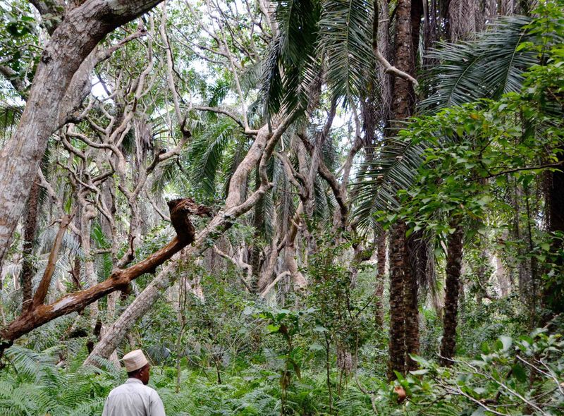 Groepsreis jongerenreis Tanzania spice tour op Zanzibar