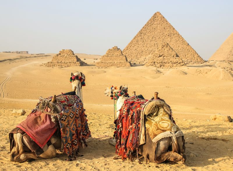 Egypte groepsreis piramides en kamelen