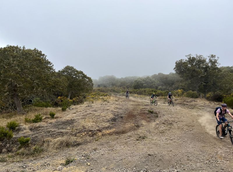 Groepsreis Réunion mountainbike afdaling van Maïdo
