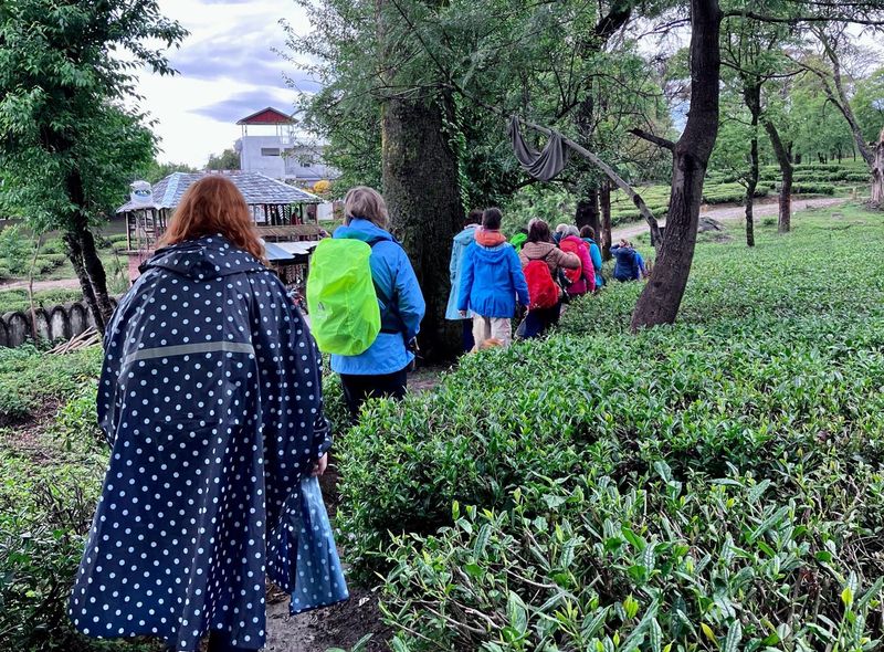 Groepsreis India wandelen door theevelden