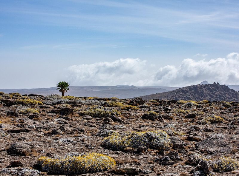 Groepsreis Ethiopië Bale Mountains