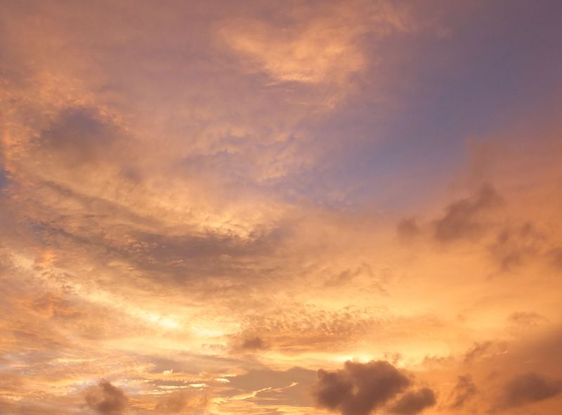 Groepsreis Sri Lanka jongerenreis zonsondergang aan het strand