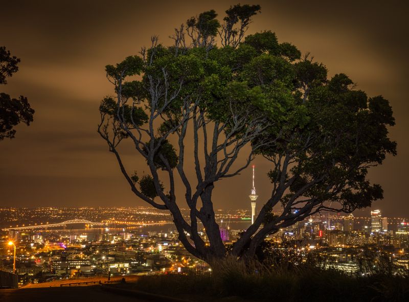 Groepsreis Nieuw-Zeeland Auckland