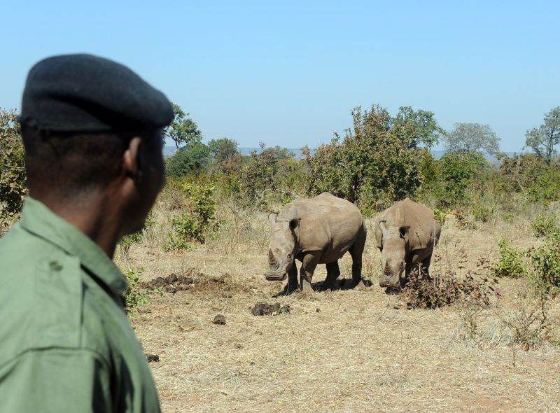 Zambia groepsreis Vic Falls NP rhino tracking