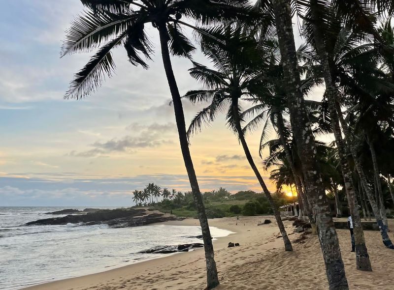 Groepsreis Ghana zonsondergang op het strand met palmbomen