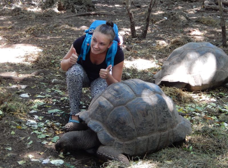 Groepsreis jongerenreis Tanzania Prison Island reuzenschildpadden