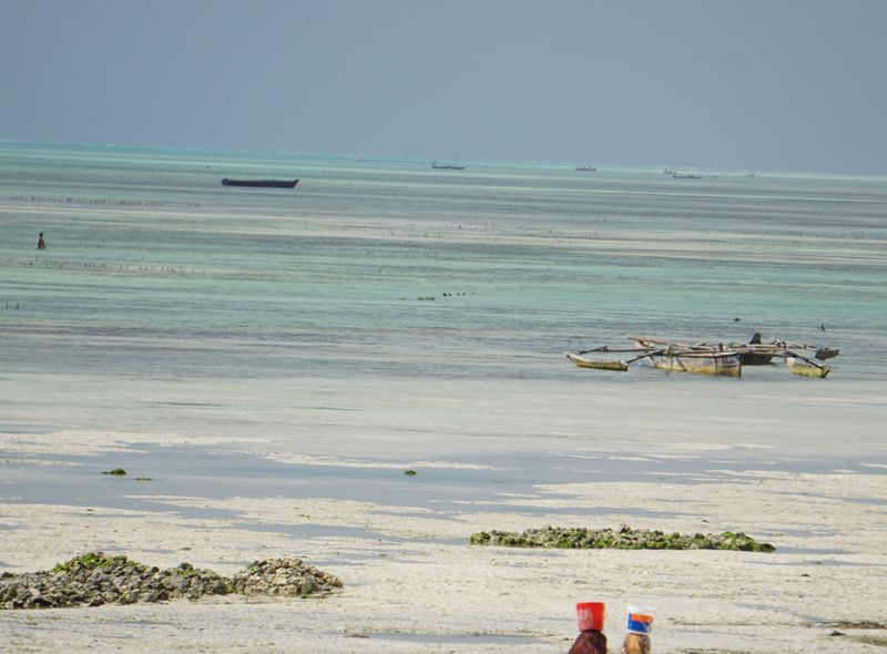 Groepsreis jongerenreis Tanzania strand op Zanzibar