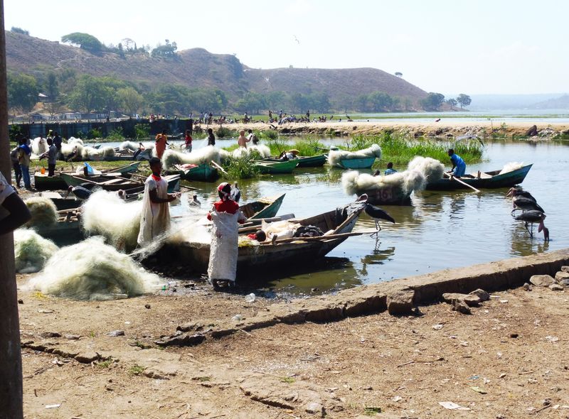 Groepsreis Ethiopië Awassa vismarkt