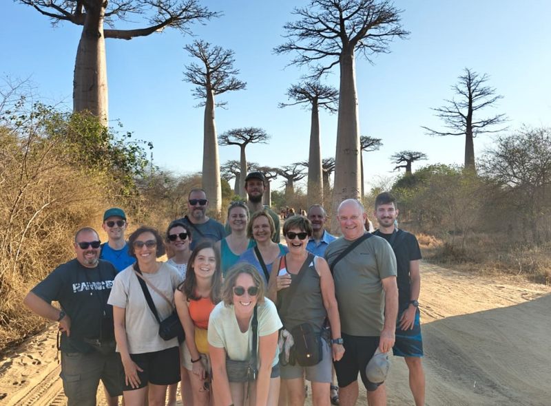 Groepsreis Madagascar allée des baobabs